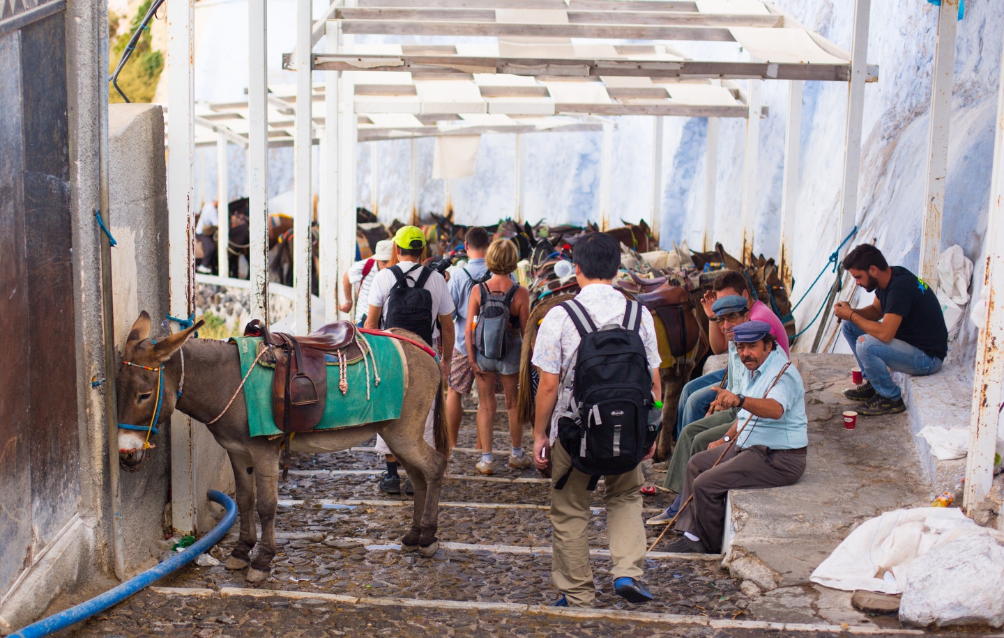 Photo by Gavin Jackson @TravelerBroads