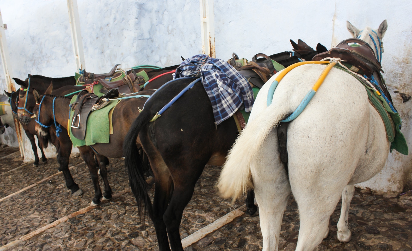 Photo by Gavin Jackson @TravelerBroads