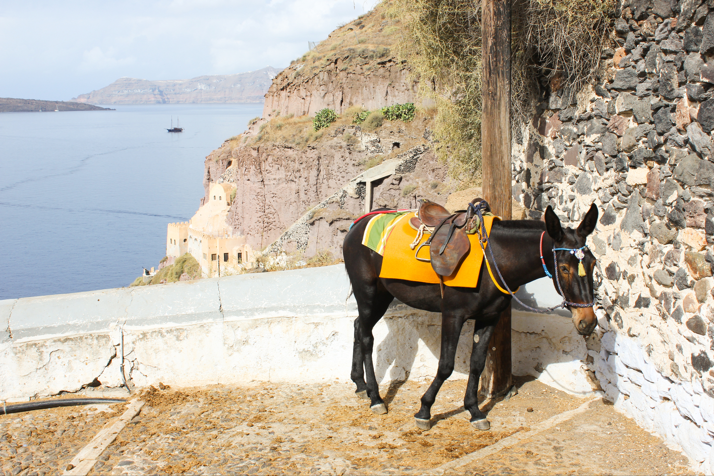 Photo by Gavin Jackson @TravelerBroads