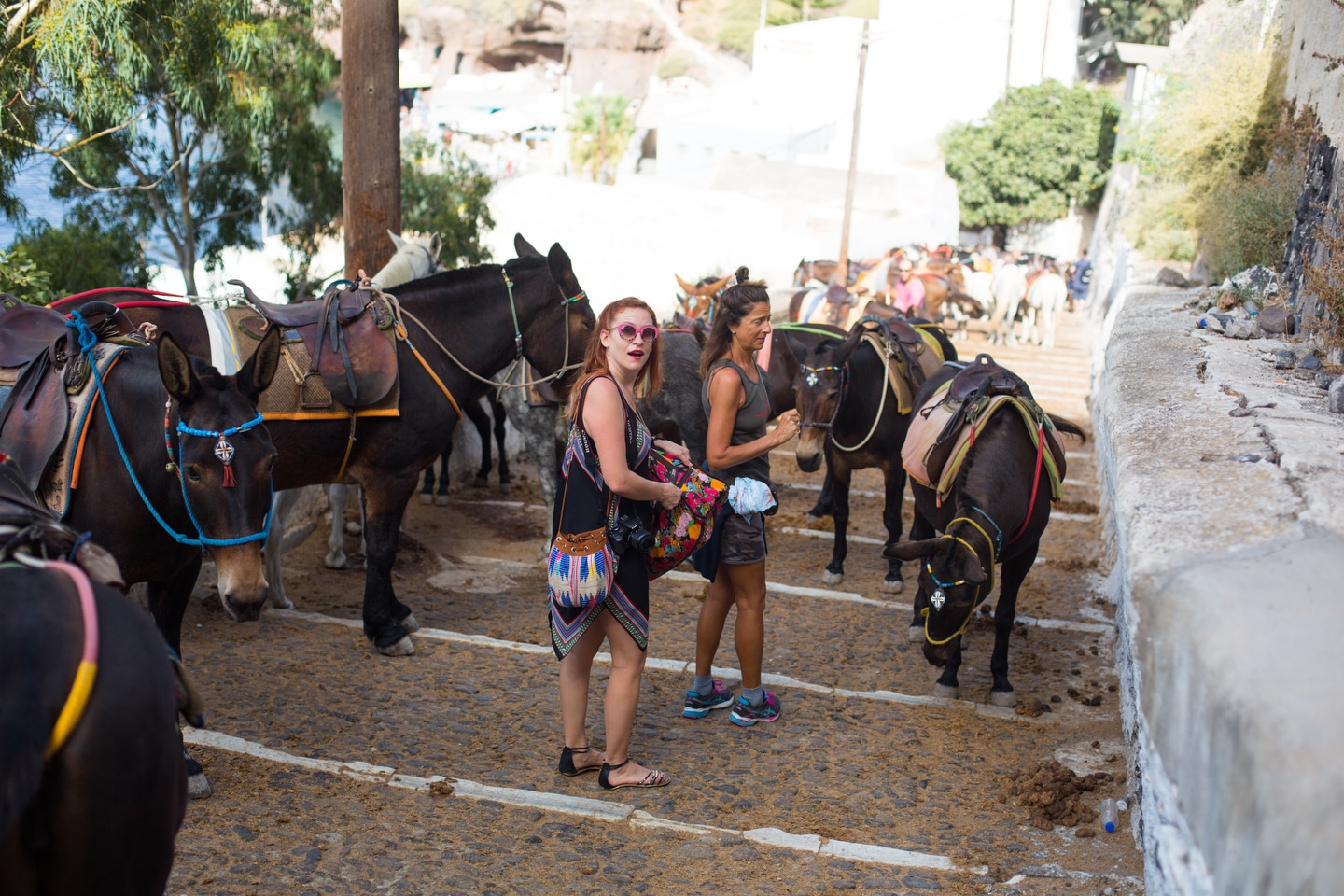 Photo by Gavin Jackson @TravelerBroads