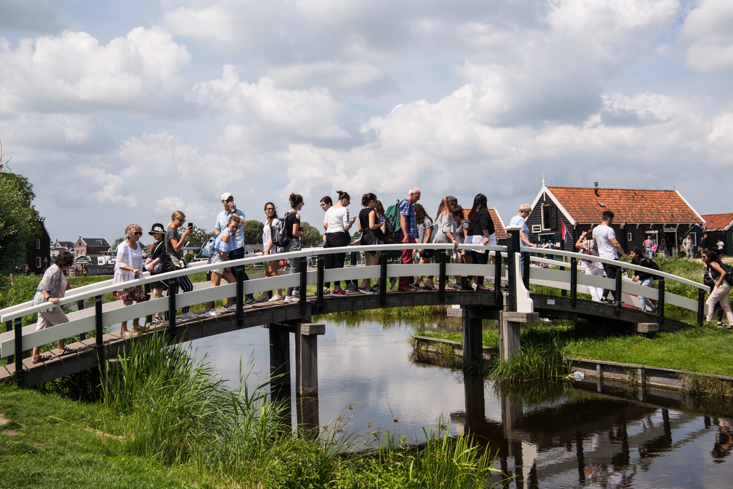 dutch countryside tour