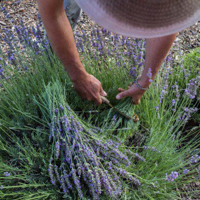Los Poblanos in New Mexico