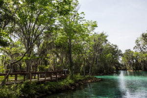 A Weekend in Crystal River, Florida