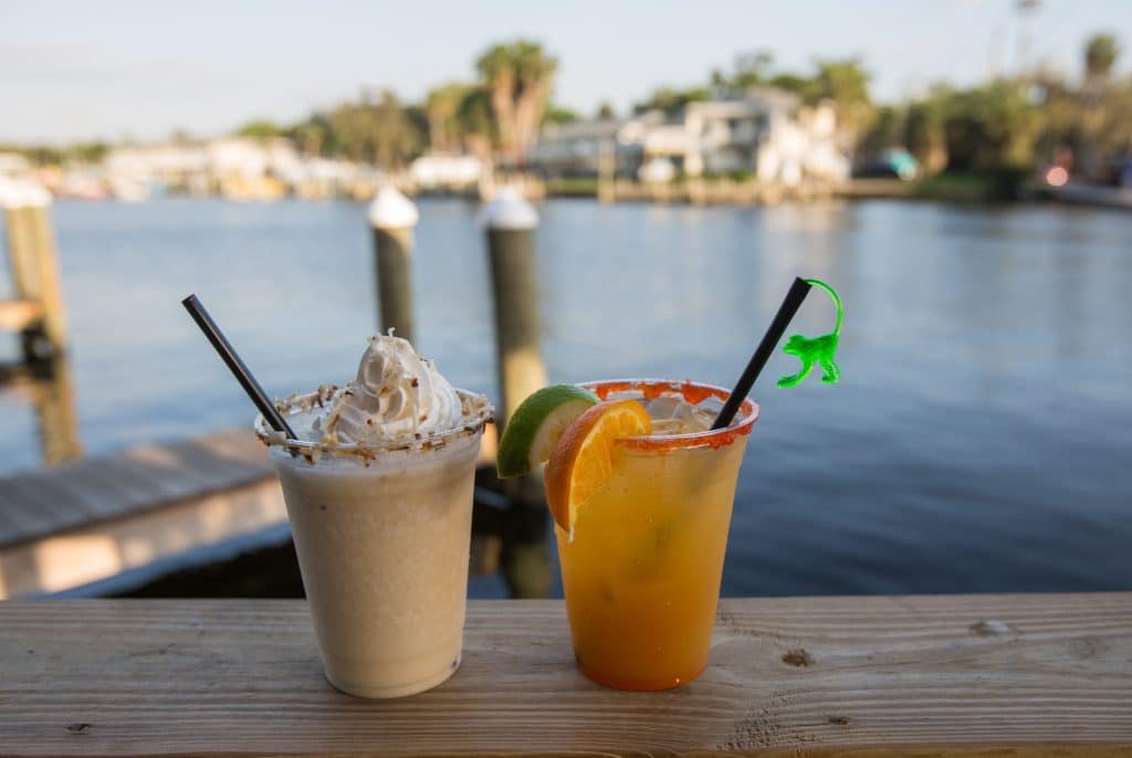 A Weekend in Crystal River, Florida