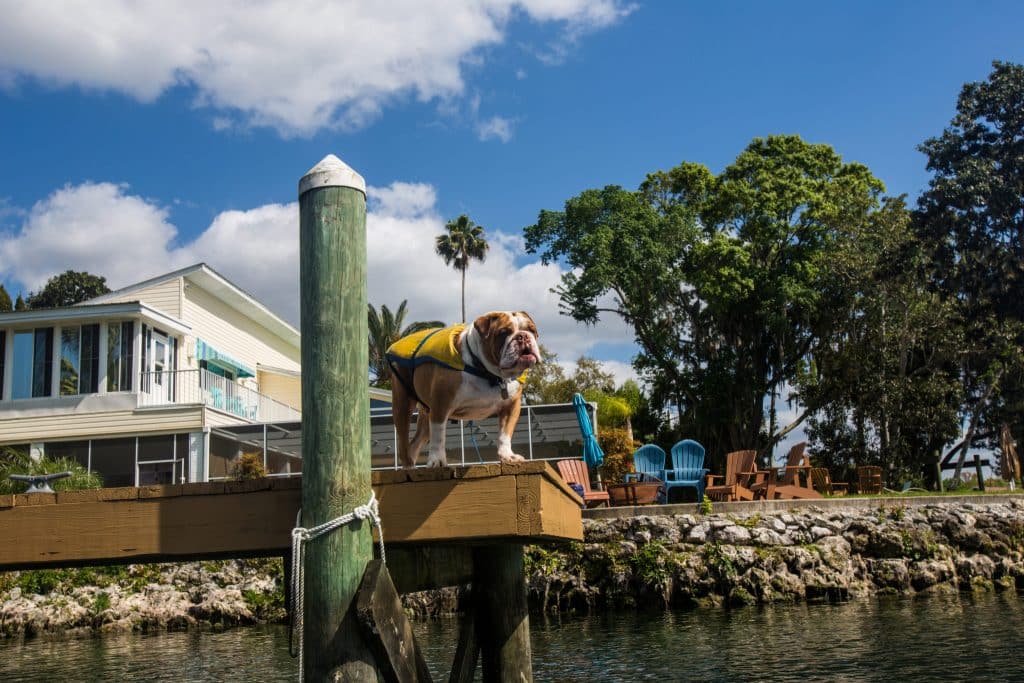 A Weekend in Crystal River, Florida
