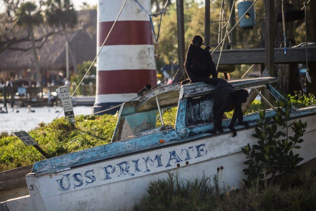 A Weekend in Crystal River, Florida