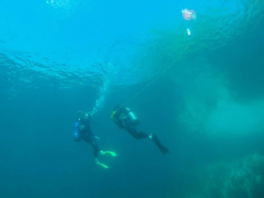 A Weekend in Crystal River, Florida