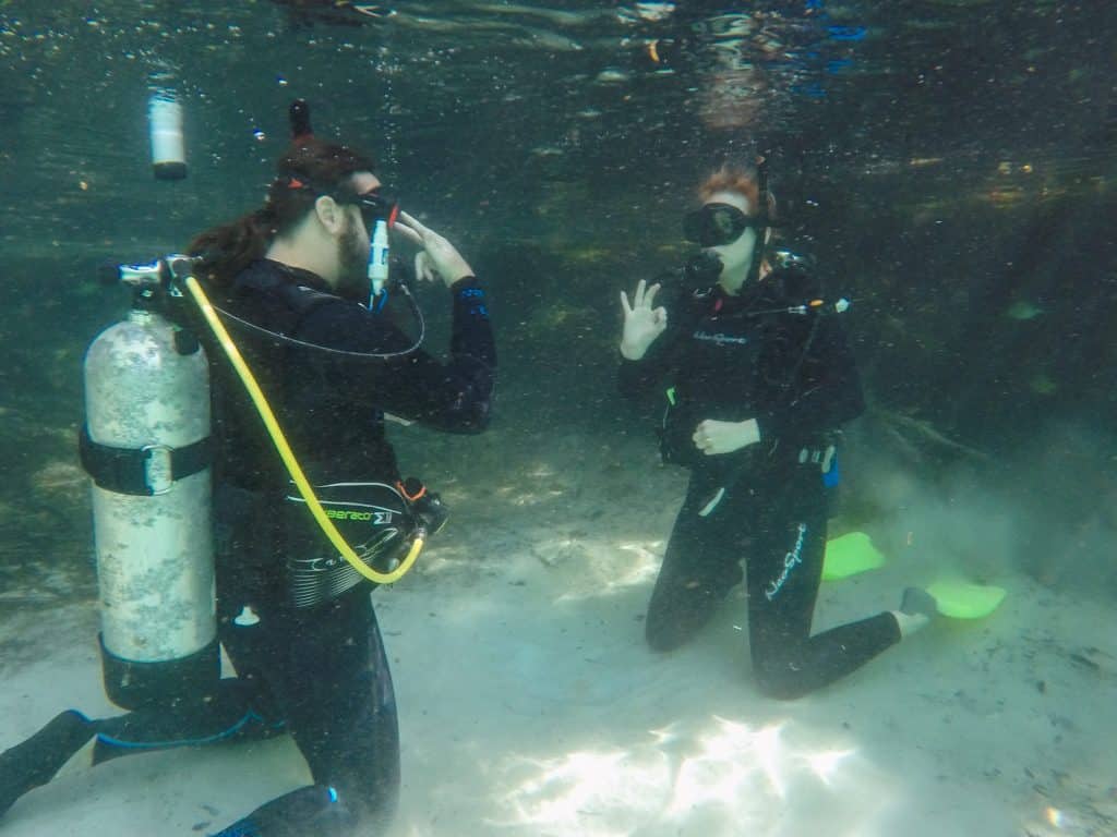 A Weekend in Crystal River, Florida