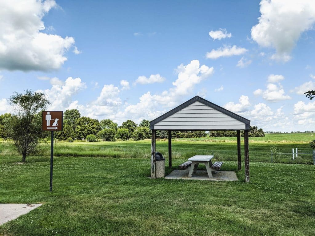 road trip during covid